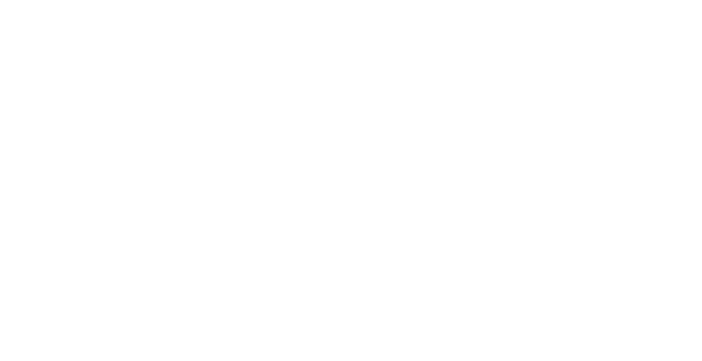 Logo PaulienPictures
