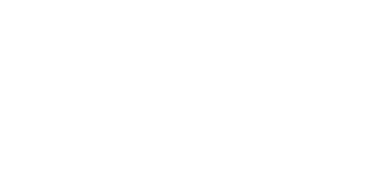 Logo PaulienPictures